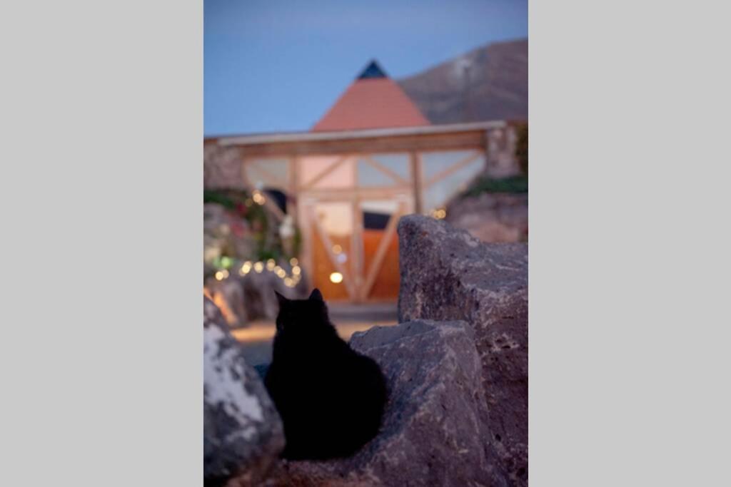 Tranquila Tierra - Eco Retreat Finca Artis Tirma Tarajalejo Εξωτερικό φωτογραφία